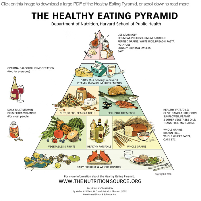 Primary healthy students evidence eating practice teaching report school review full